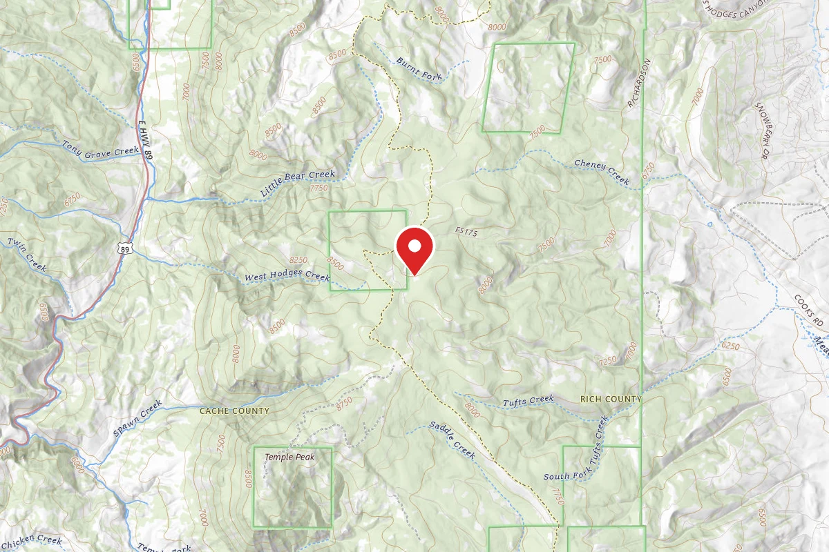 Dispersed Site near 41.8639, -111.4966