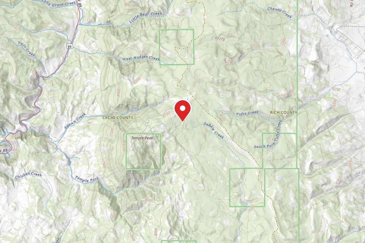 Dispersed Site near 41.8372, -111.5050