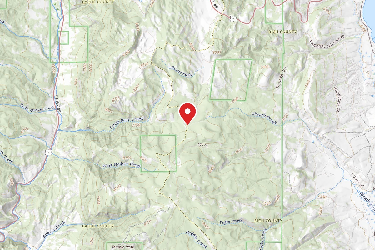 Dispersed Site near 41.8802, -111.4921