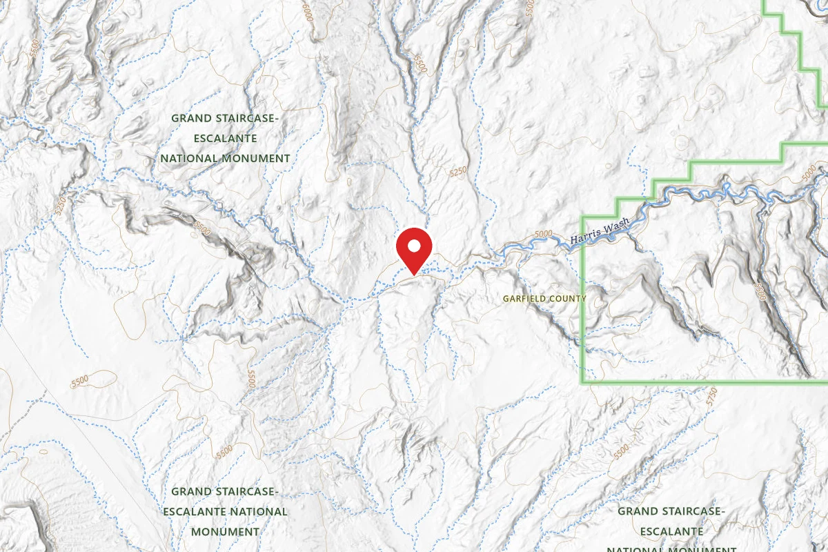 Dispersed Site near 37.6337, -111.3418