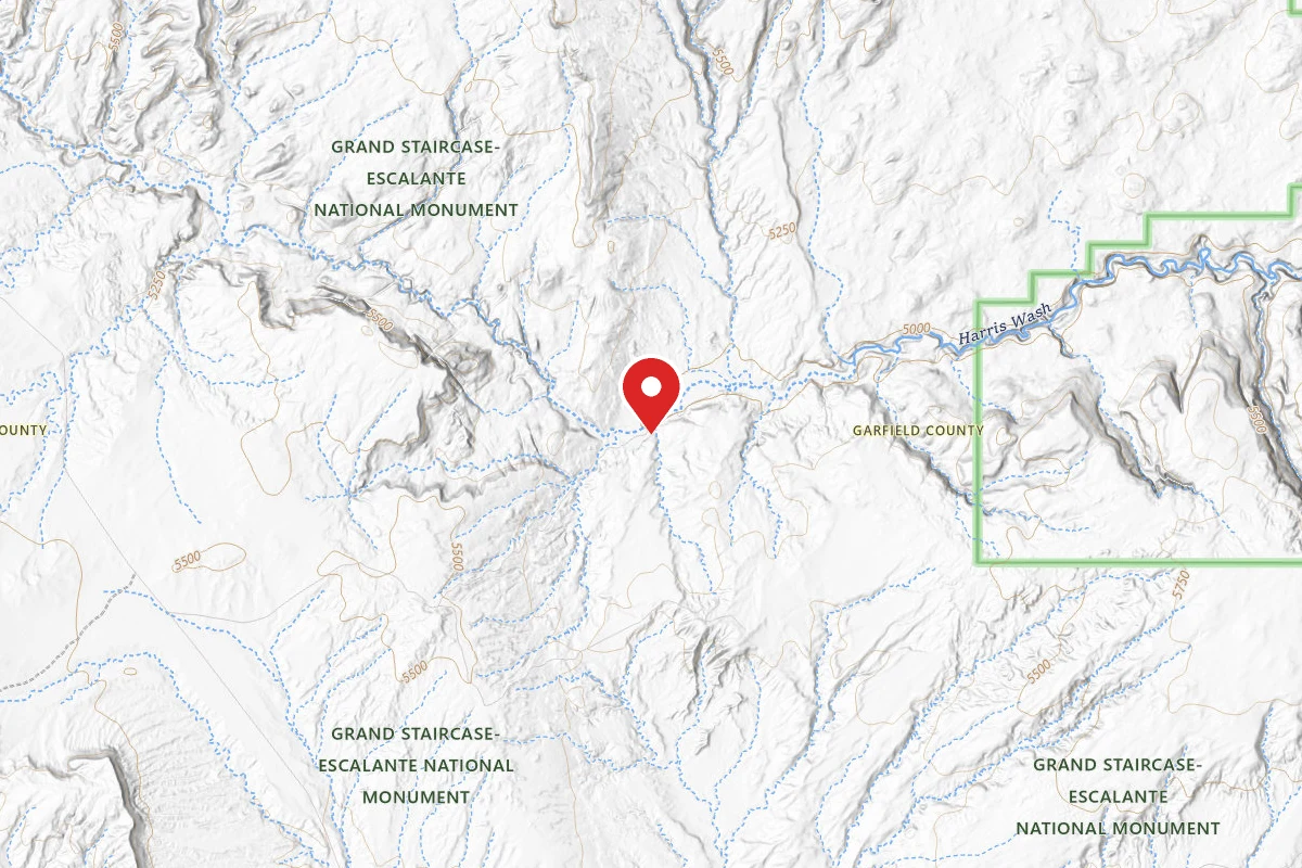 Dispersed Site near 37.6288, -111.3516