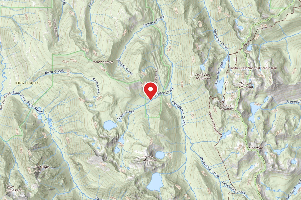 Dispersed Site near 47.6503, -121.1917