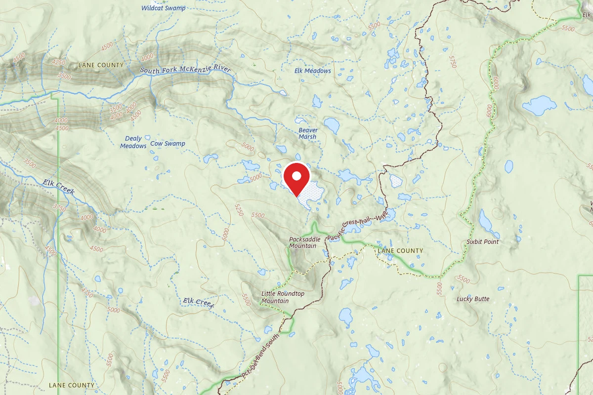 Dispersed Site near 43.9277, -121.9270