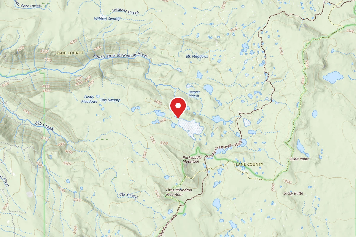 Dispersed Site near 43.9334, -121.9322