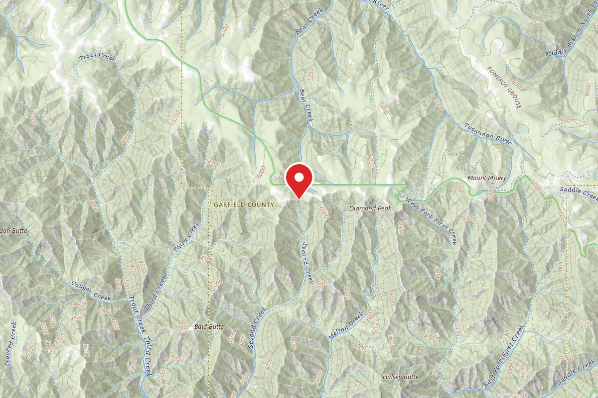 Dispersed Site near 46.1187, -117.5723
