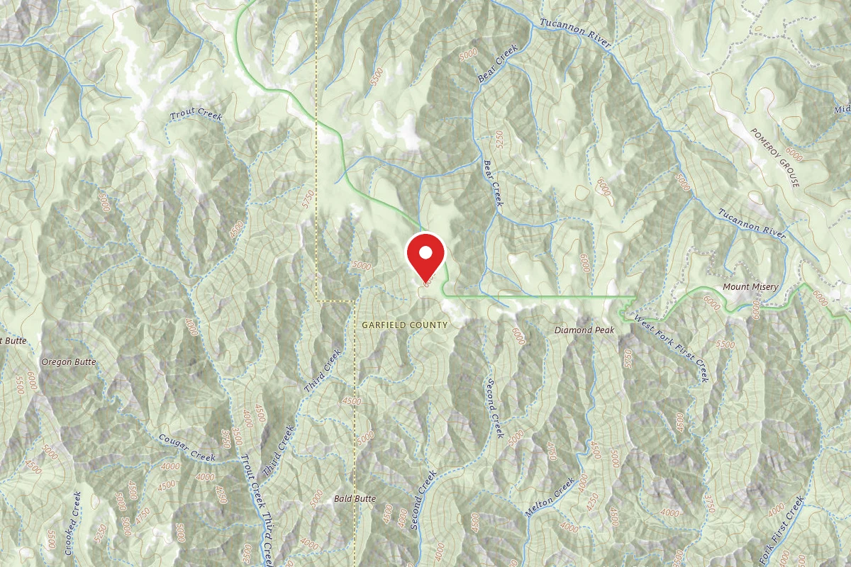 Dispersed Site near 46.1243, -117.5862