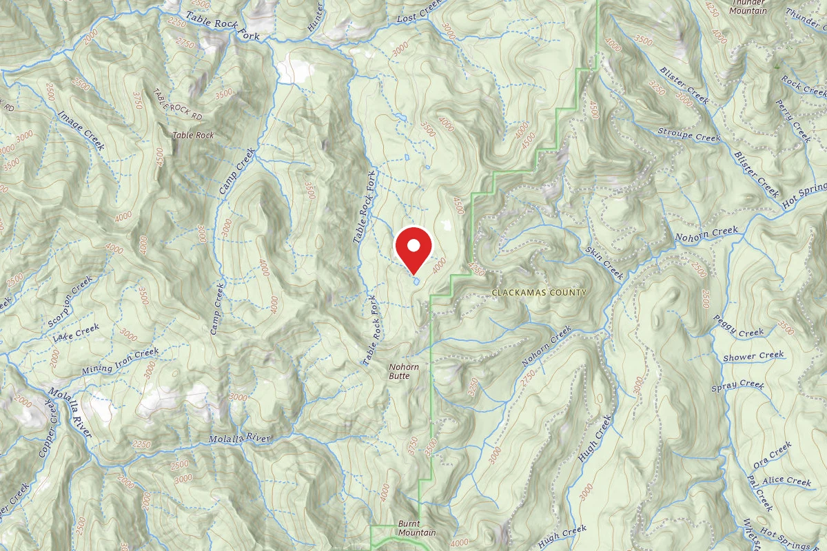 Dispersed Site near 44.9462, -122.2496