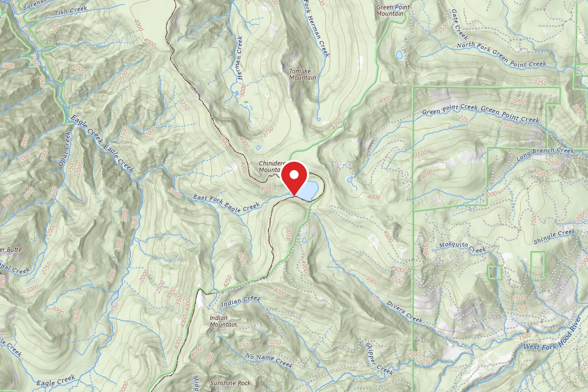 Dispersed Site near 45.5806, -121.7987