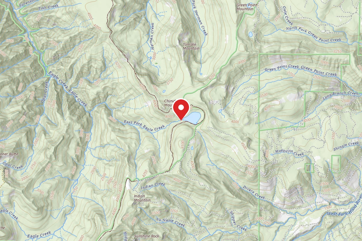 Dispersed Site near 45.5809, -121.8014