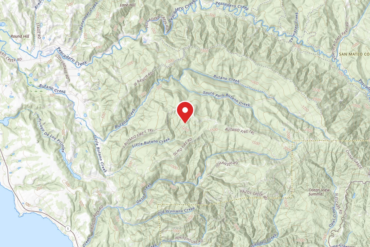Ben Ries Campground - Butano State Park - Campground Temporarily Closed