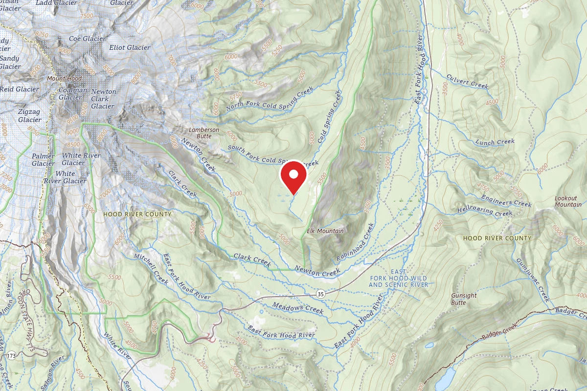 Dispersed Site near 45.3455, -121.6154