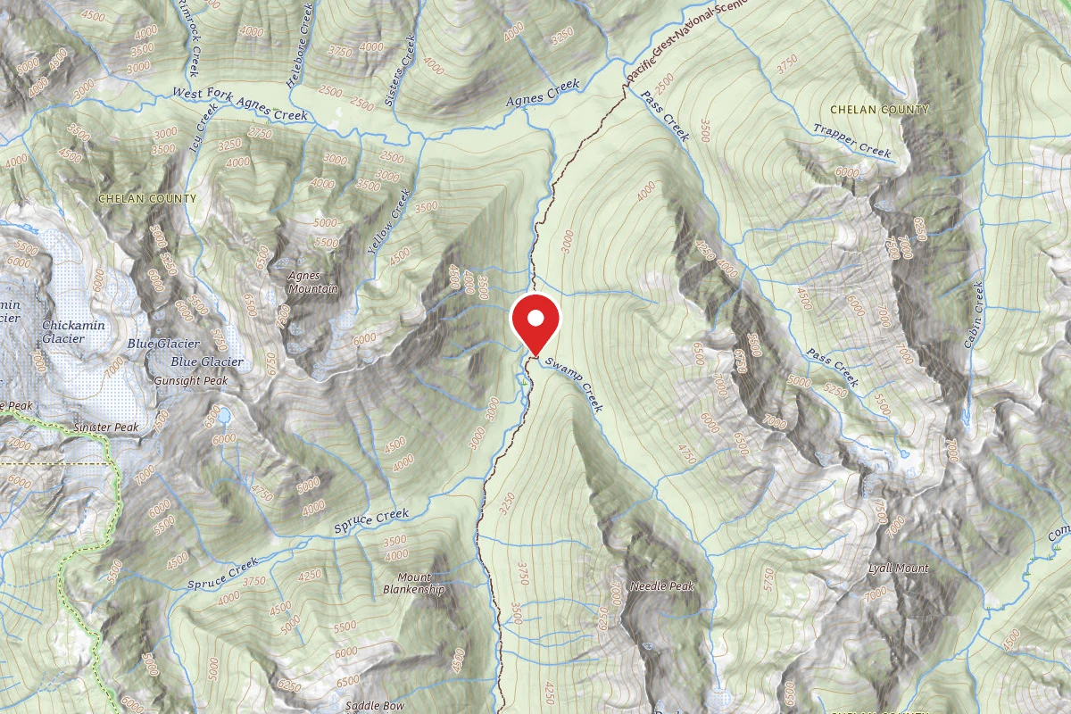 Swamp Creek Camp