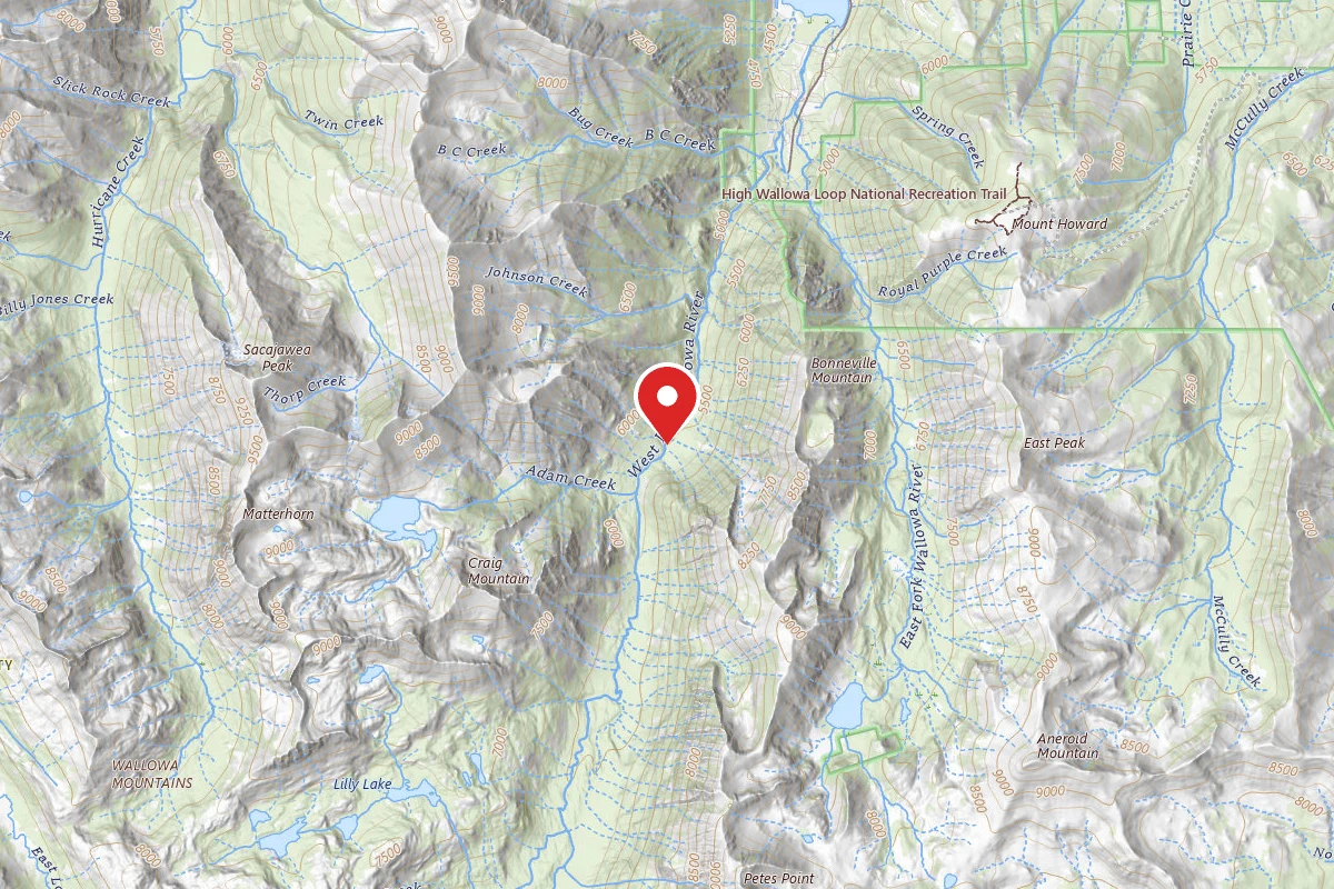 Dispersed Site near 45.2374, -117.2316