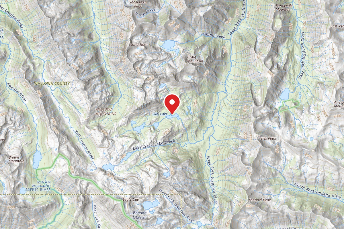 Dispersed Site near 45.2003, -117.2715