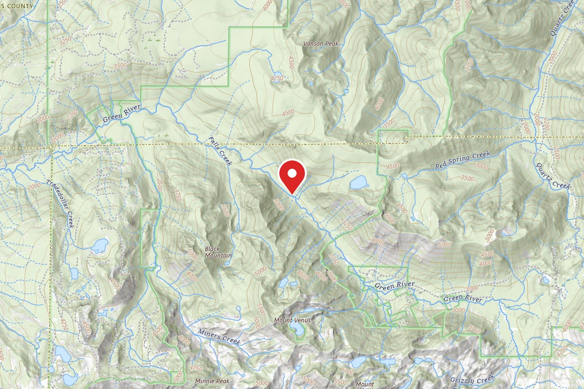 Dispersed Site near 46.3741, -122.1551