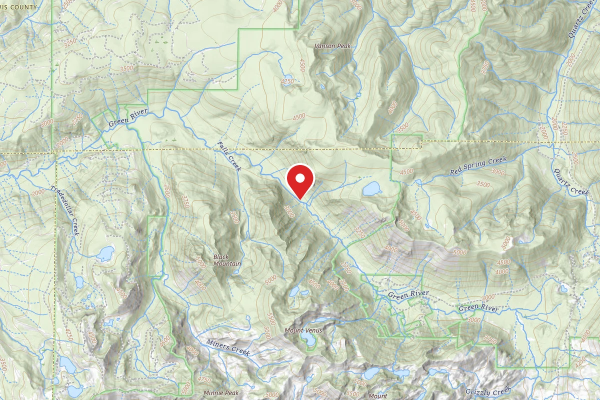Dispersed Site near 46.3743, -122.1561