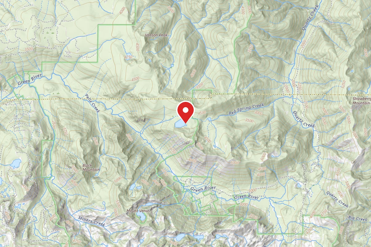 Dispersed Site near 46.3769, -122.1286