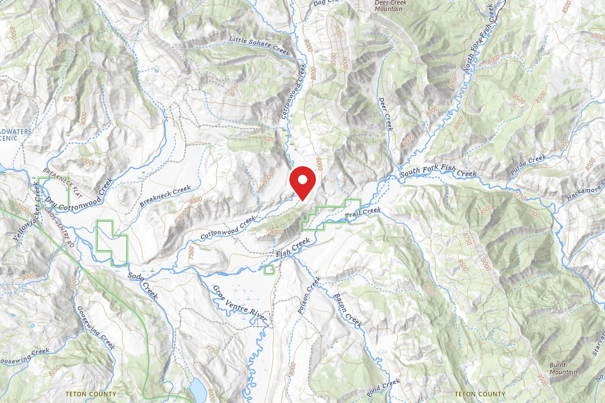Dispersed Site near 43.5684, -110.2150