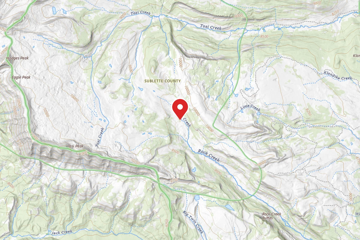 Dispersed Site near 43.2935, -110.1651