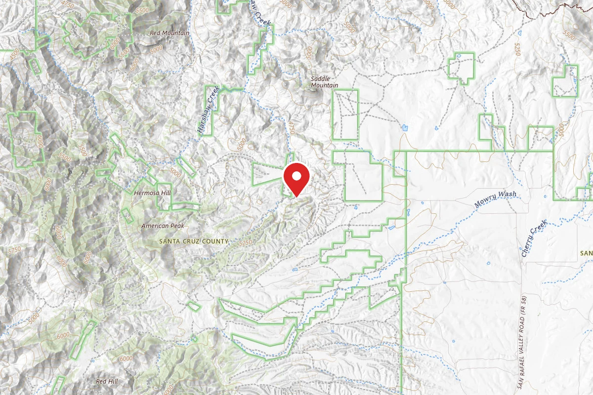 Dispersed Site near 31.4564, -110.6677