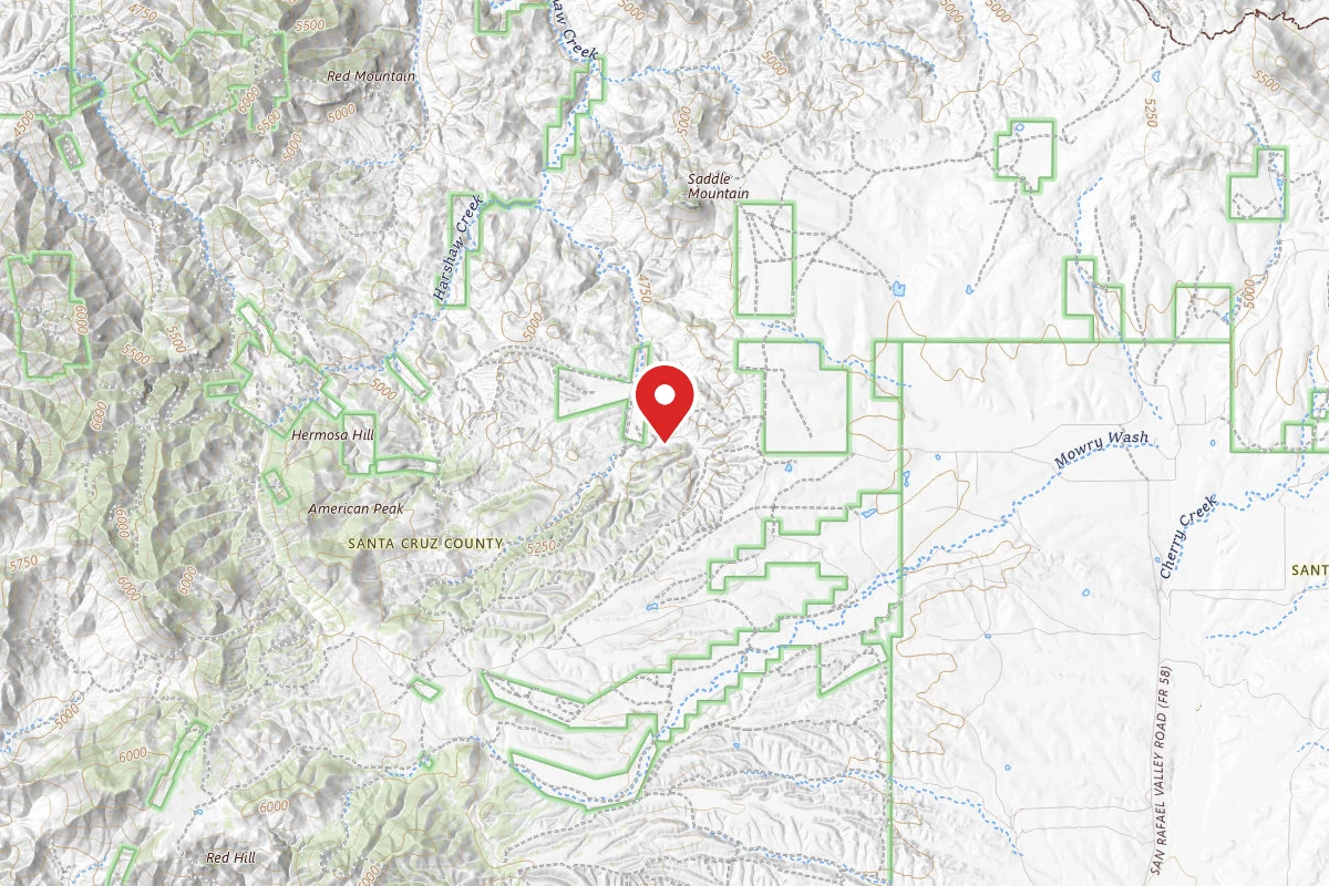 Dispersed Site near 31.4567, -110.6663