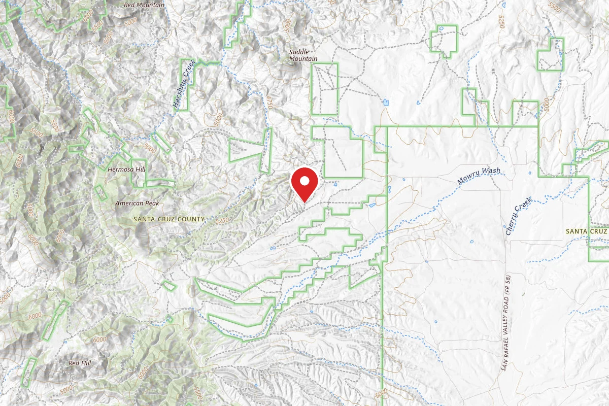 Dispersed Site near 31.4480, -110.6576
