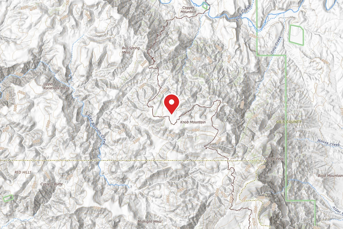 Dispersed Site near 34.1738, -111.5337