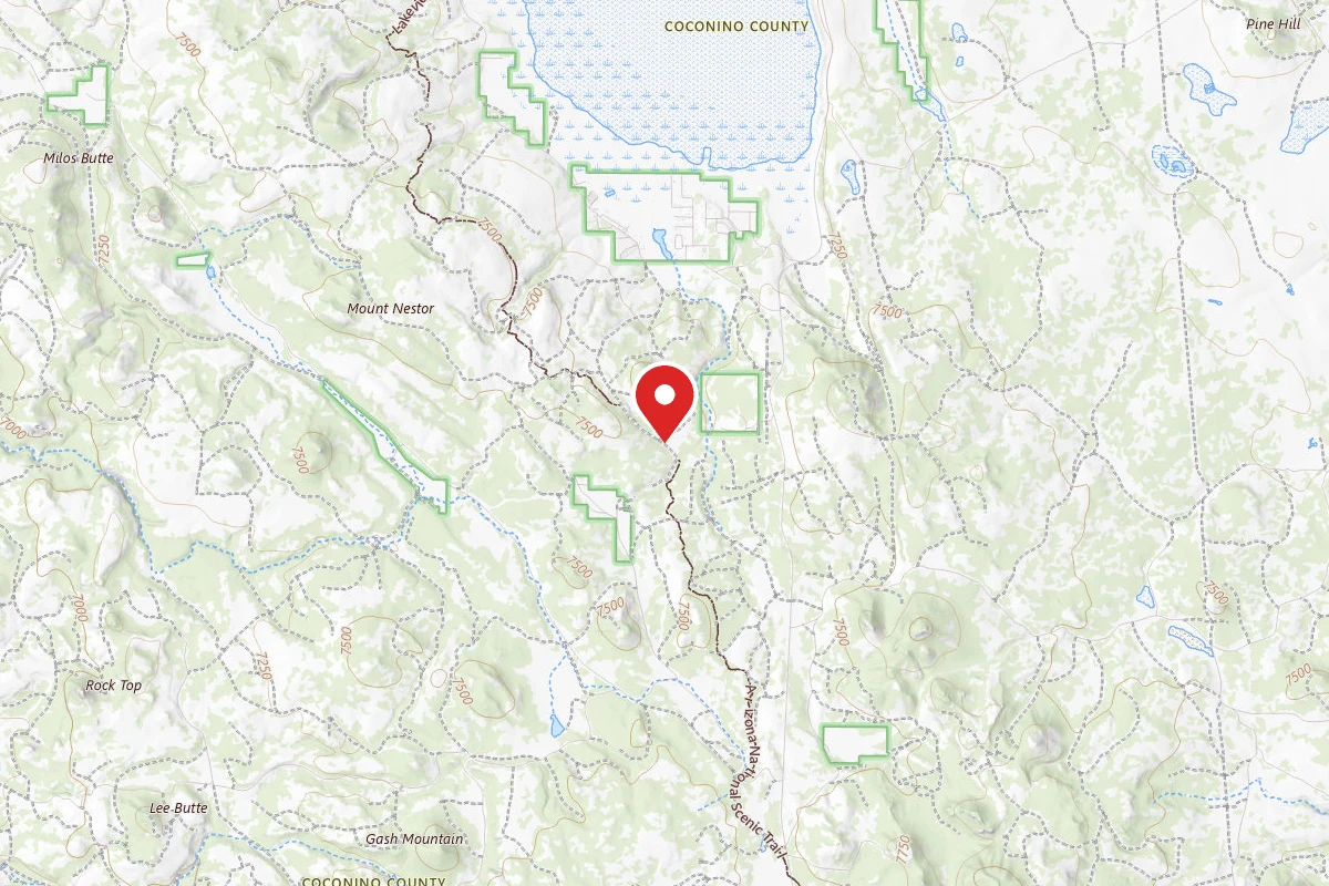Dispersed Site near 34.8819, -111.4565