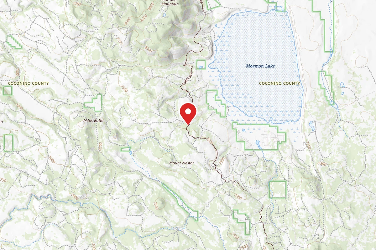 Dispersed Site near 34.9161, -111.4955