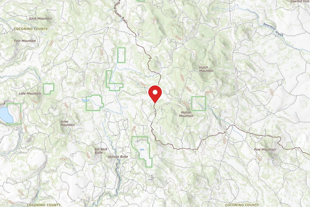 Dispersed Site near 34.7852, -111.4190