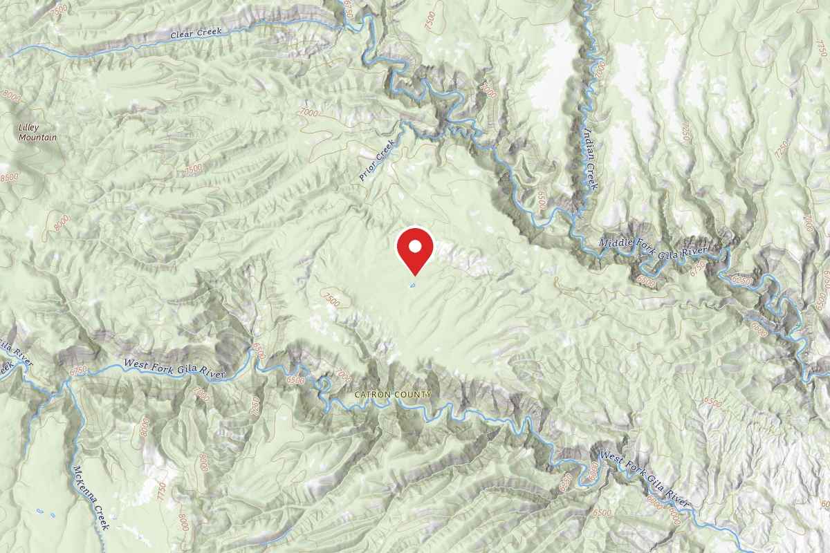 Dispersed Site near 33.2925, -108.3587