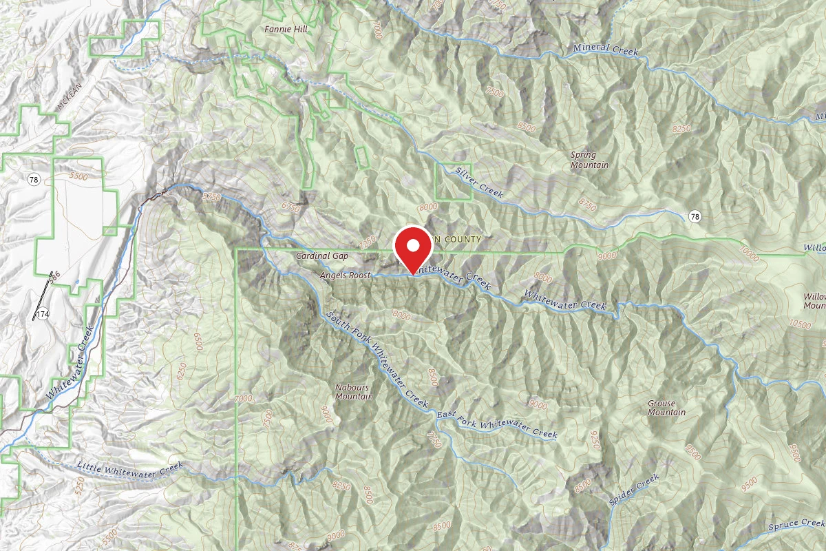 Dispersed Site near 33.3580, -108.7746
