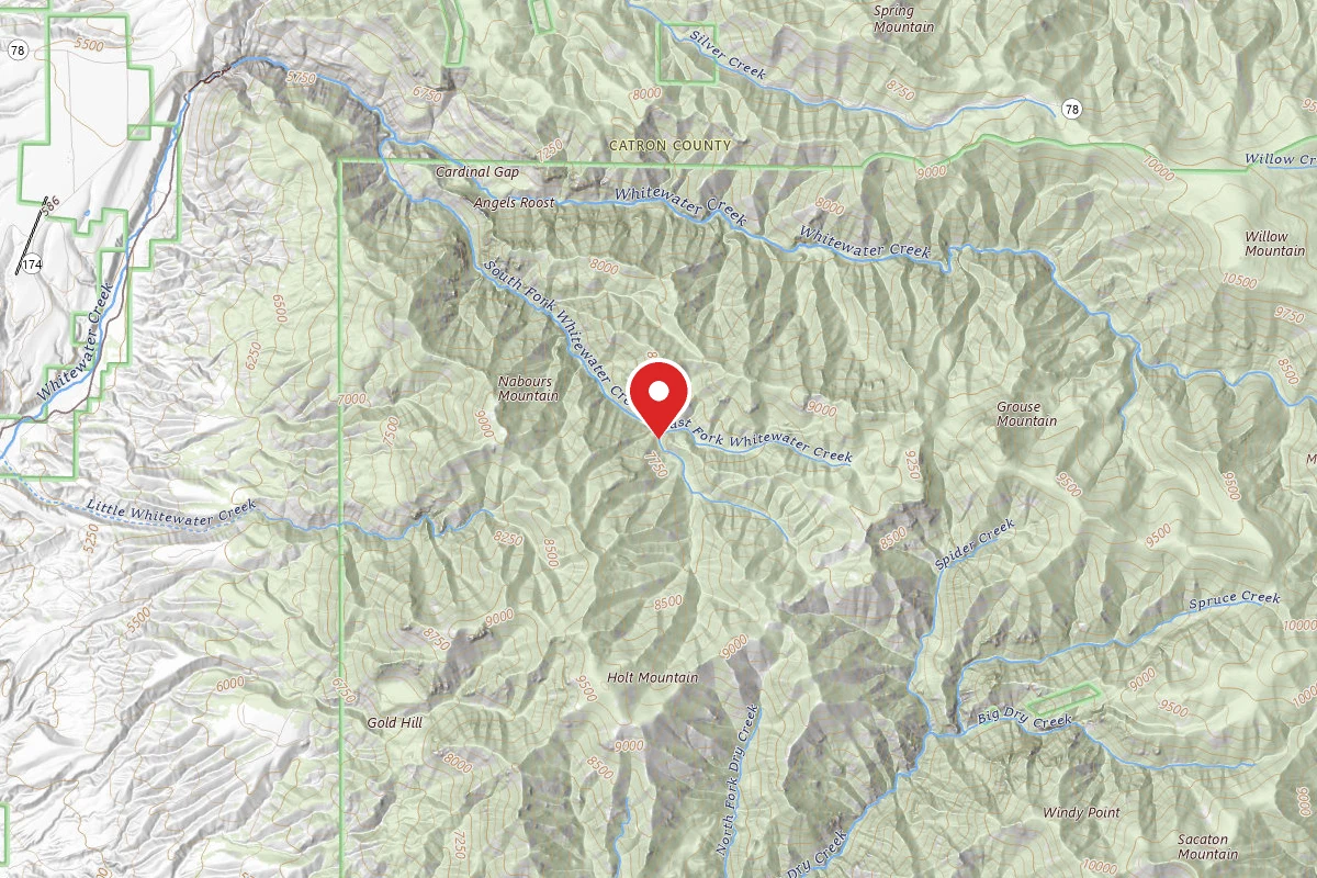 Dispersed Site near 33.3272, -108.7690