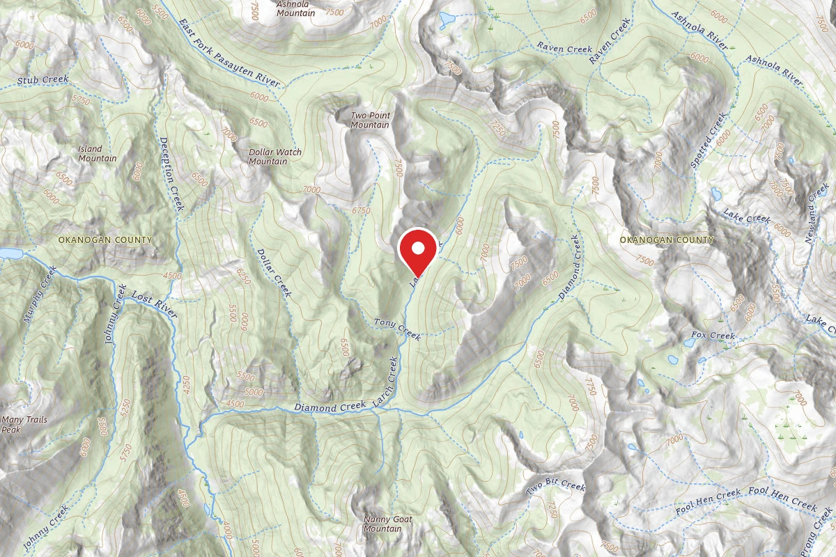 Dispersed Site near 48.8771, -120.3649