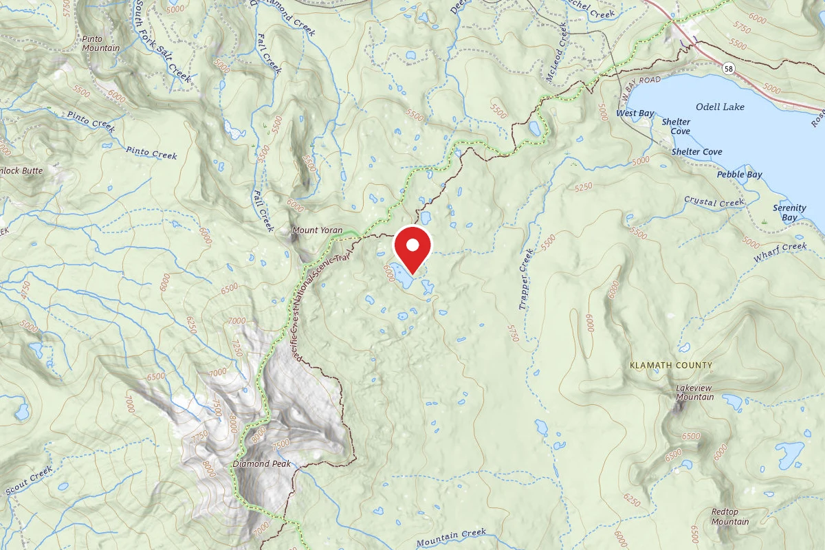 Dispersed Site near 43.5556, -122.1040