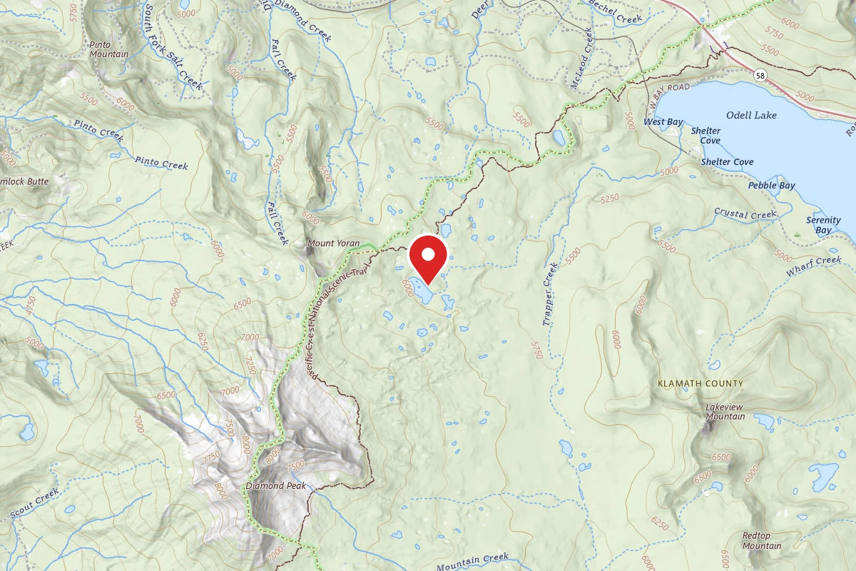 Dispersed Site near 43.5564, -122.1051