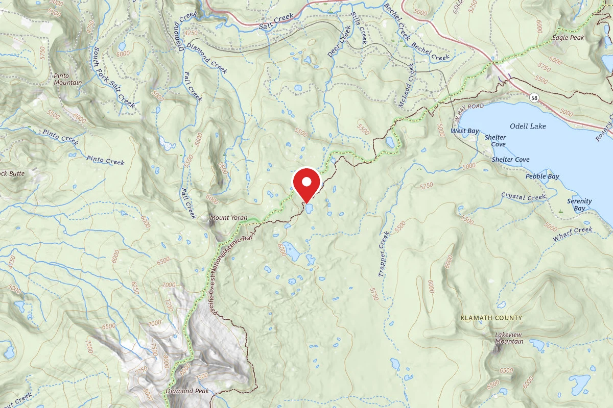 Dispersed Site near 43.5671, -122.1017