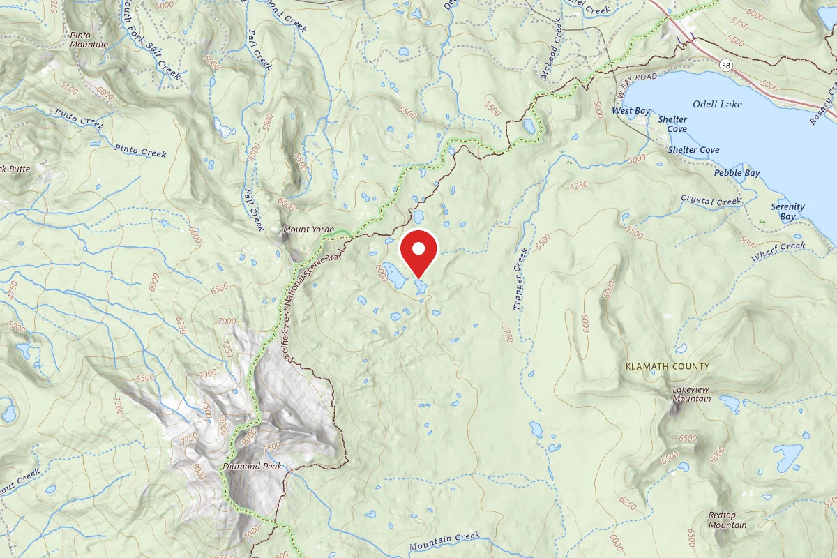Dispersed Site near 43.5549, -122.1009