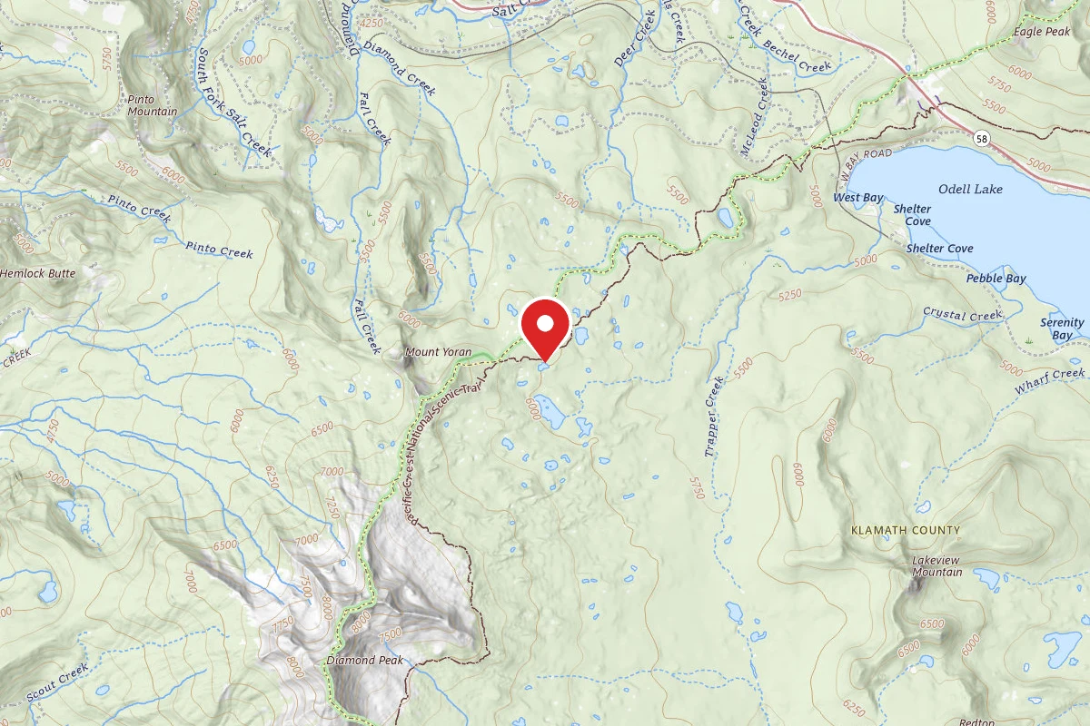 Dispersed Site near 43.5623, -122.1077