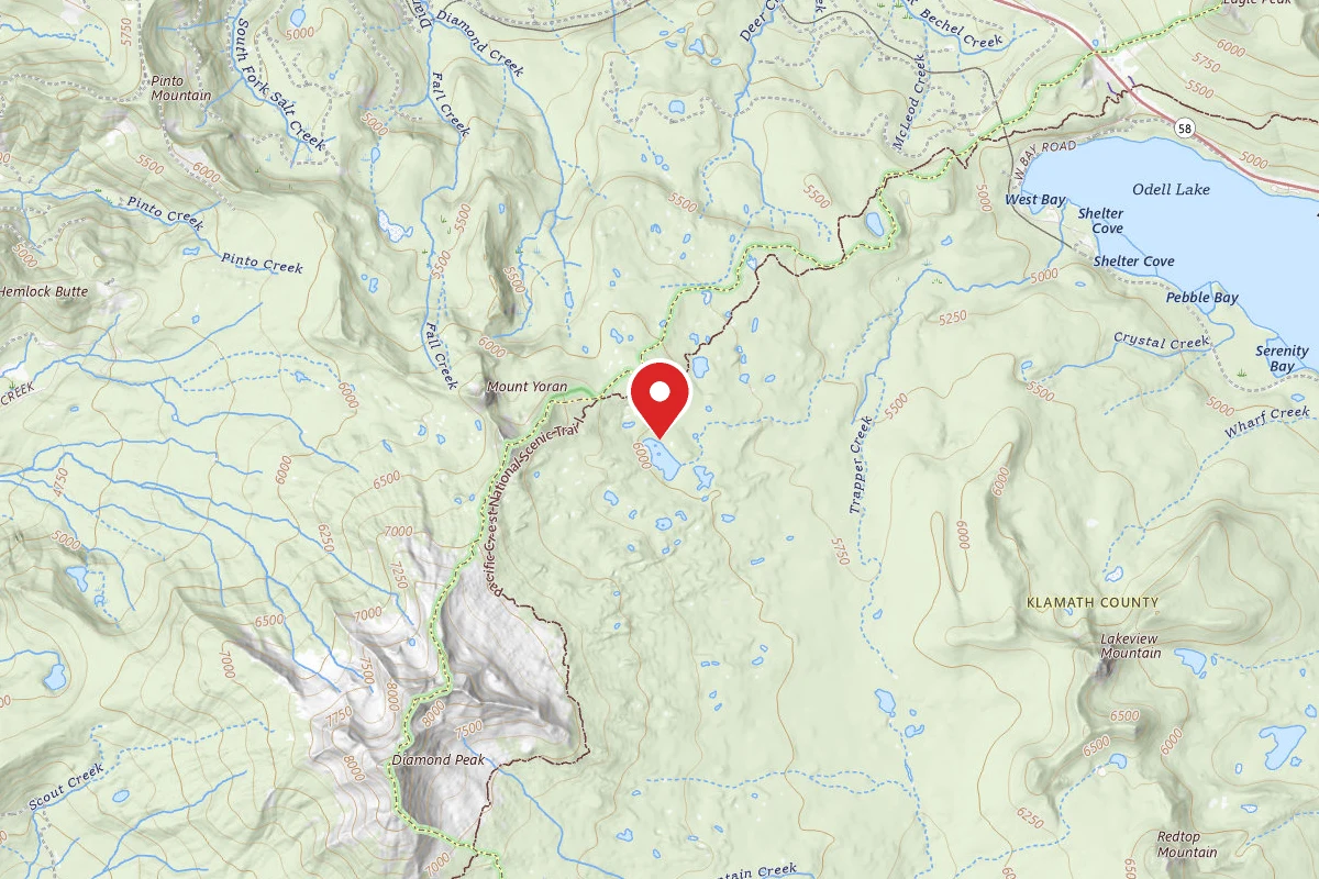 Dispersed Site near 43.5578, -122.1072
