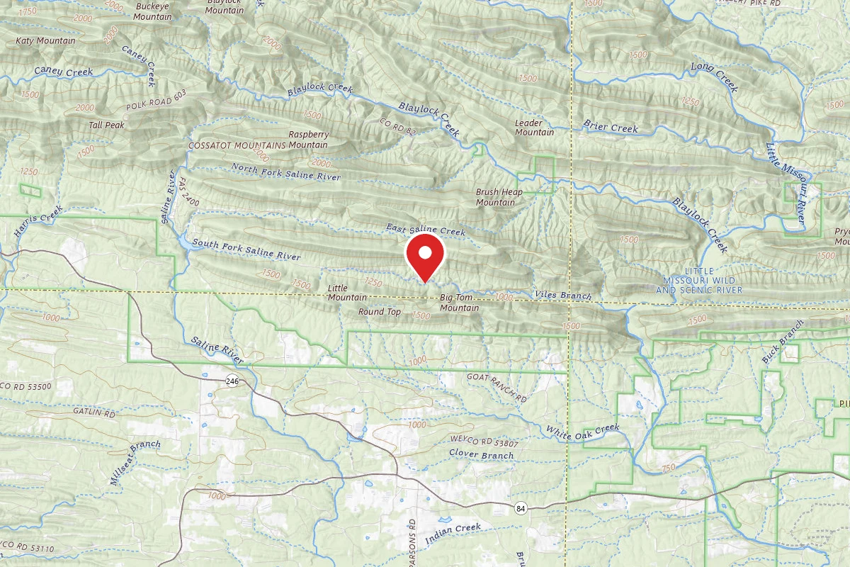 Dispersed Site near 34.3538, -93.9703
