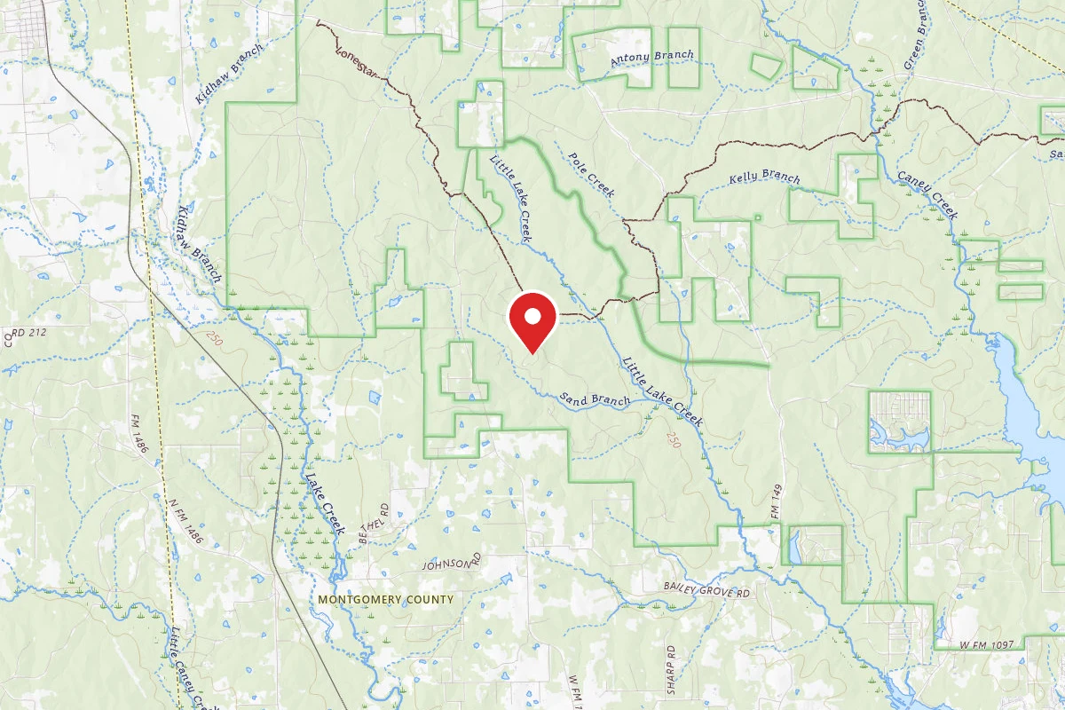 Sand Branch Trail Camp