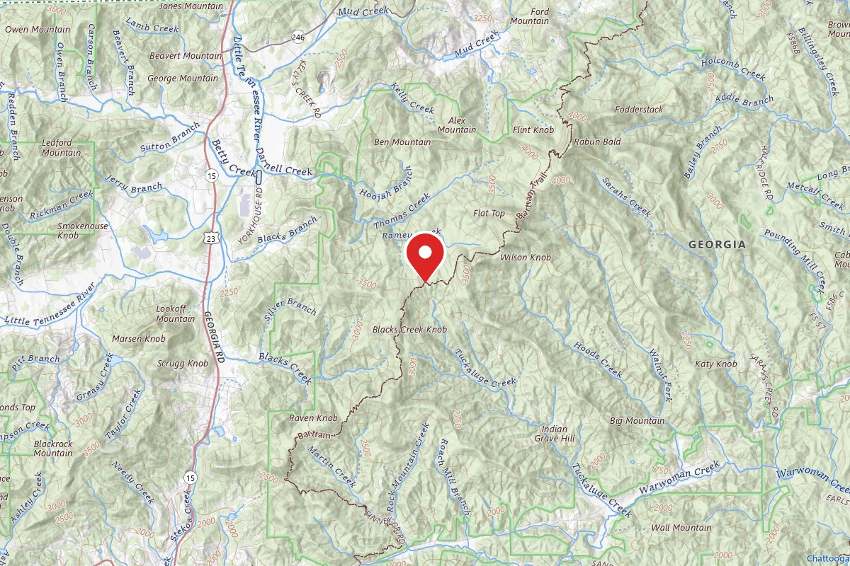 Wilson Gap