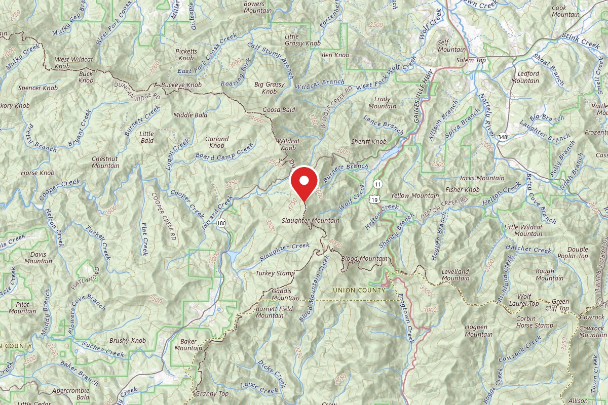 Dispersed Site near 34.7543, -83.9493