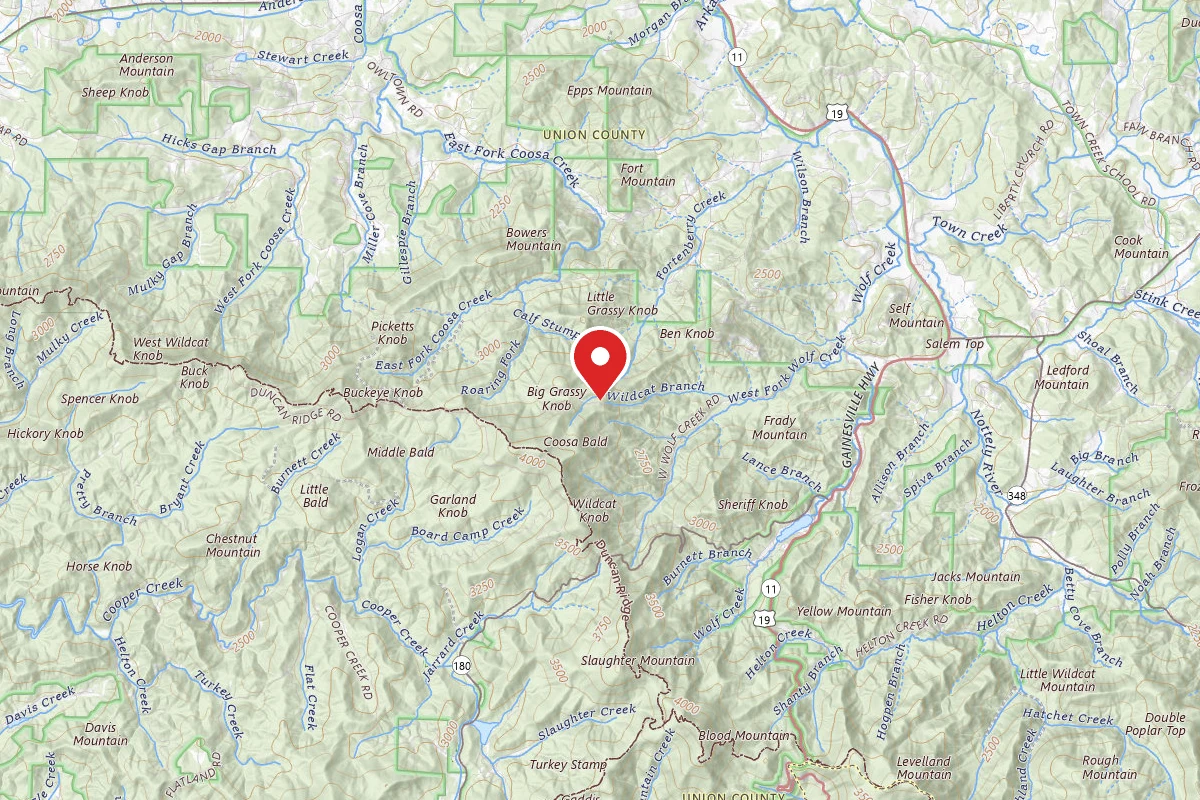 Dispersed Site near 34.7861, -83.9536
