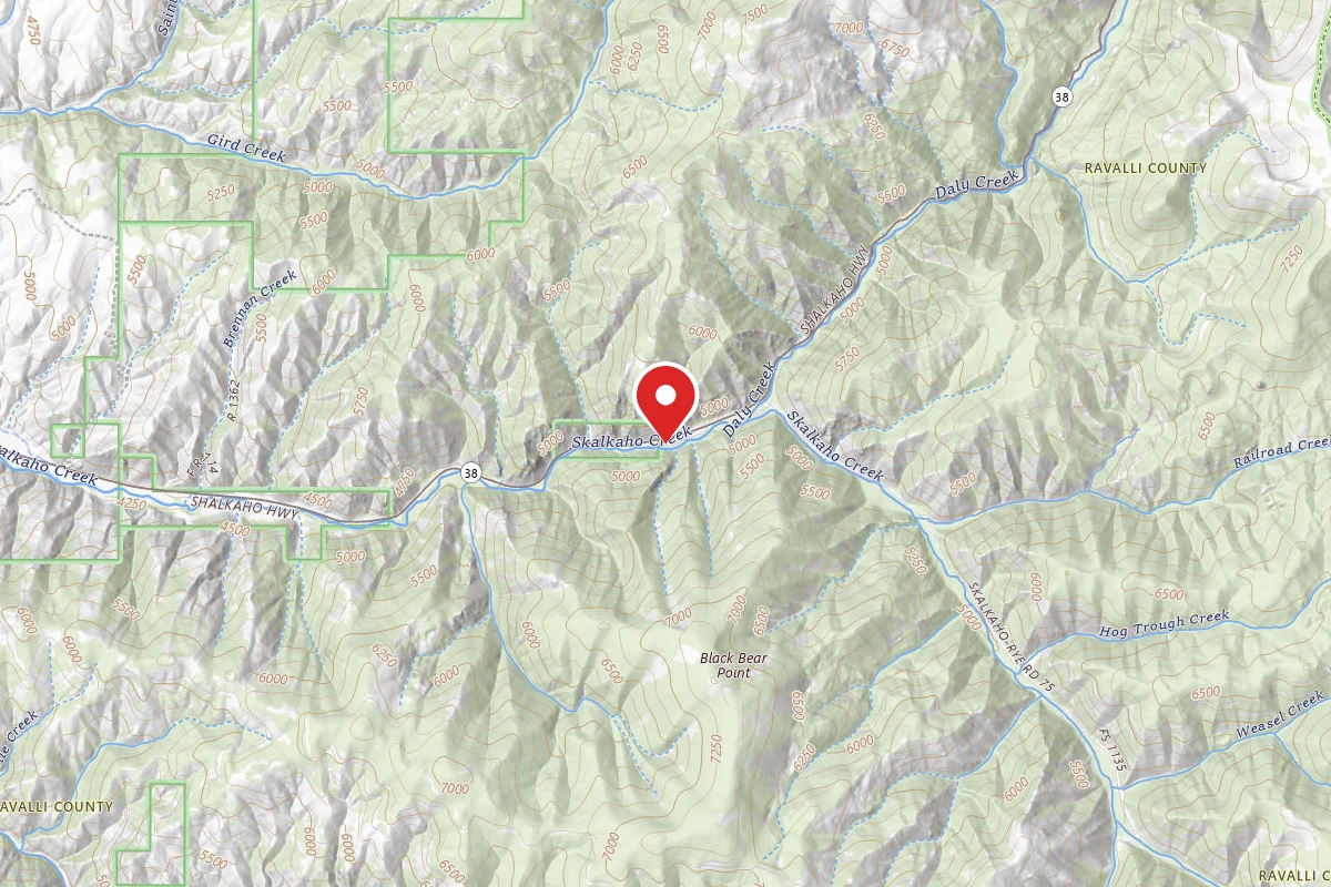 Black Bear Campground
