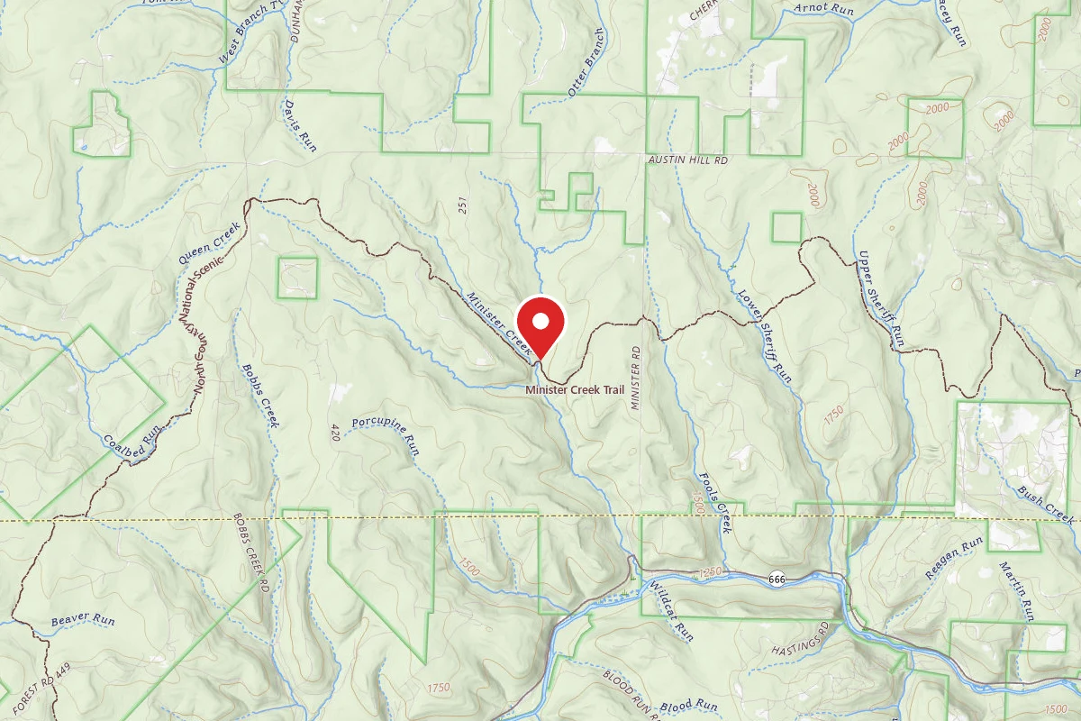 Triple Forks East Campsites