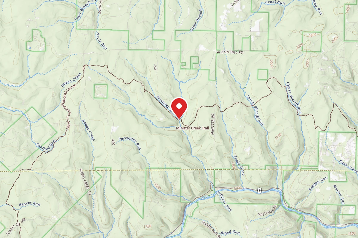 Triple Forks West Campsites