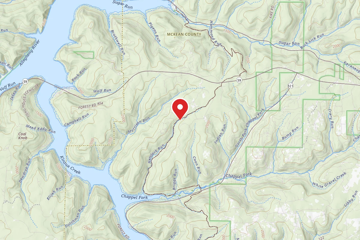 Hemlock Run Campsite