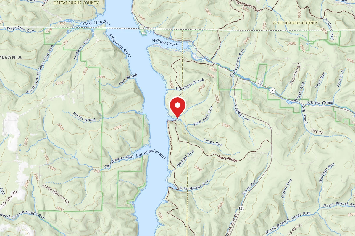 Tracy Run Campsites